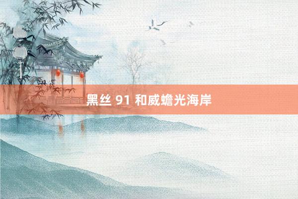 黑丝 91 和威蟾光海岸